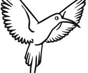 Coloriage et dessins gratuit Colibri ouvrant ses ailes à imprimer