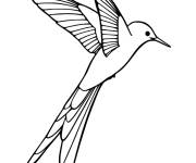 Coloriage et dessins gratuit Colibri perch&eacute; au bel plumage à imprimer
