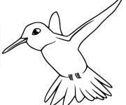 Coloriage et dessins gratuit Colibri perch&eacute; simple dessin&eacute; par une enfant à imprimer