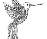 Coloriage Colibri pour adulte