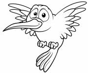 Coloriage colibri qui vous fait rire