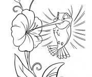 Coloriage Colibri rigolo du dessin anim&eacute;