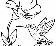 Coloriage Colibri se perche &agrave; c&ocirc;t&eacute; d&rsquo;une grande fleu