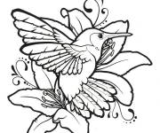 Coloriage Colibri se repose sur une jolie fleur