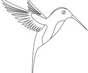 Coloriage Colibri simple