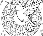 Coloriage Colibri simple volant devant un mandala