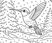Coloriage Colibri sous la neige