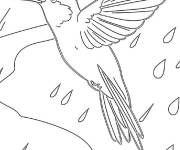 Coloriage Colibri sous le mauvais temps
