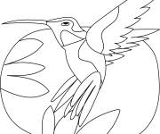 Coloriage Colibri stylis&eacute;