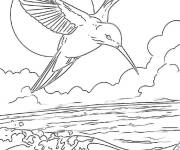 Coloriage Colibri sur des vagues