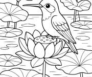 Coloriage Colibri sur la rivi&egrave;re