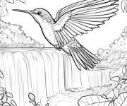 Coloriage Colibri sur une cascade