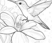 Coloriage Colibri sur une tr&egrave;s belle rose