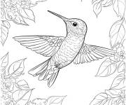 Coloriage Colibri tournant derri&egrave;re