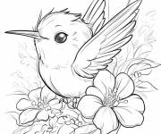 Coloriage Colibri tropical
