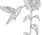 Coloriage Colibri volant pendant le jour ensoleill&eacute;