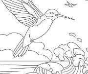 Coloriage Colibri volant sur la mer