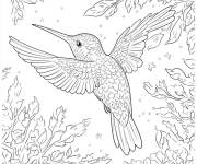 Coloriage colibri vue de derri&egrave;re