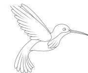 Coloriage Colibri vue de gauche