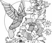 Coloriage Colibri zentangle difficile