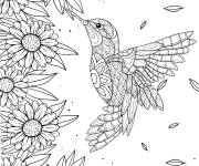 Coloriage Colibri zentangle en ligne