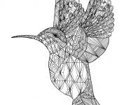 Coloriage Colibri zentangle en vecteur