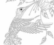 Coloriage Colibris &agrave; motif complexe