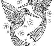 Coloriage Colibris d&eacute;cor&eacute;s difficile
