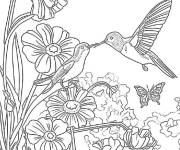 Coloriage Compagnons de colibris de jardin