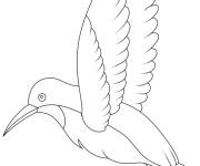 Coloriage Contour de Colibri facile