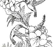 Coloriage Couple de Colibris en volant sur leur nourriture