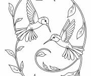 Coloriage Couple de Un colibri plein de joie