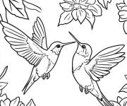 Coloriage Couple des Colibris &agrave; motif des feuilles