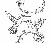Coloriage Des colibris autour d&rsquo;une vigne en spirale