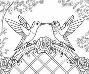 Coloriage Des colibris avec une arche de roses