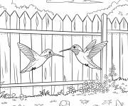 Coloriage Des colibris explorent le jardin fleurie