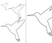Coloriage Des mod&egrave;les de contours de Colibris