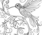 Coloriage Design aux plumes du colibri adulte
