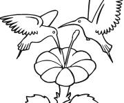 Coloriage Deux colibris au nectar