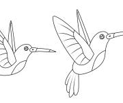 Coloriage Deux Colibris identiques