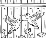 Coloriage Deux colibris pr&egrave;s d&rsquo;une cl&ocirc;ture