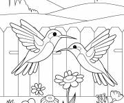 Coloriage Deux colibris pr&egrave;s d&rsquo;une cl&ocirc;ture e bois
