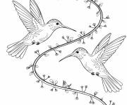 Coloriage Deux colibris volent joyeusement