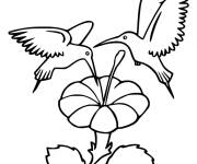 Coloriage et dessins gratuit En ramassant du nectar de fleurs à imprimer