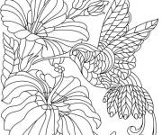 Coloriage Fleur et nectre pour colibri