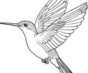 Coloriage Grand Colibri en vol