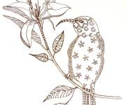Coloriage Illustration Colibri zentangle