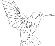 Coloriage Illustration de Colibri