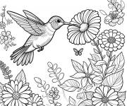 Coloriage Illustration magique de Colibri et Fleurs