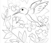 Coloriage Joli Colibri au vol